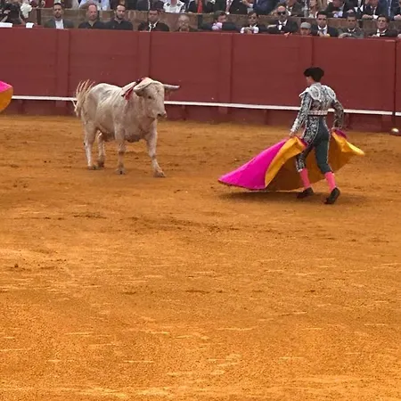 Center Estepona